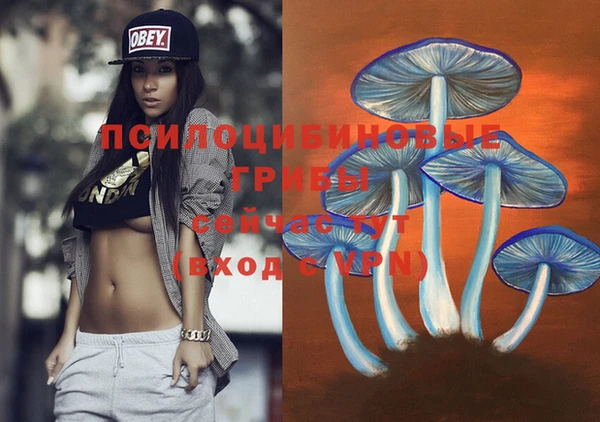 ECSTASY Остров