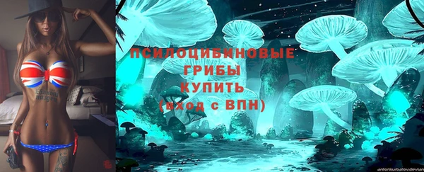 амф Балахна