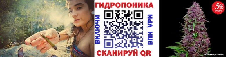 Конопля ГИДРОПОН Светогорск